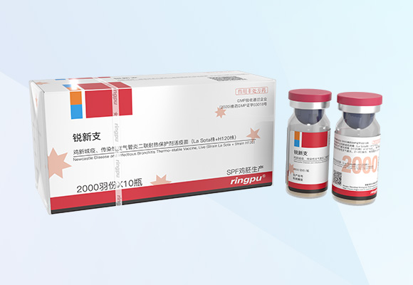 Öйú×ðÁú¼¯ÍÅ