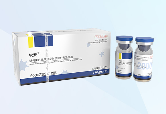 Öйú×ðÁú¼¯ÍÅ