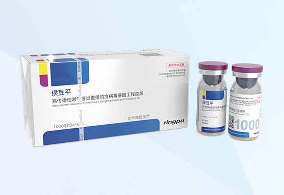 Öйú×ðÁú¼¯ÍÅ