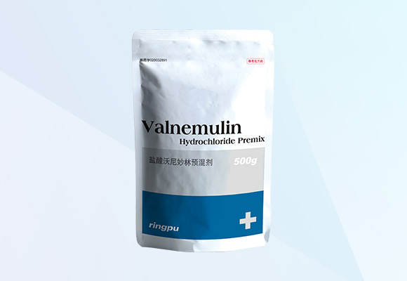 Öйú×ðÁú¼¯ÍÅ