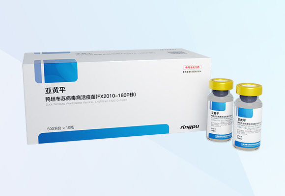 Öйú×ðÁú¼¯ÍÅ