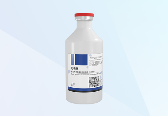 Öйú×ðÁú¼¯ÍÅ