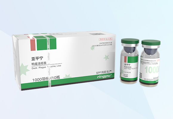 Öйú×ðÁú¼¯ÍÅ