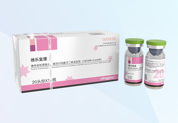 Öйú×ðÁú¼¯ÍÅ