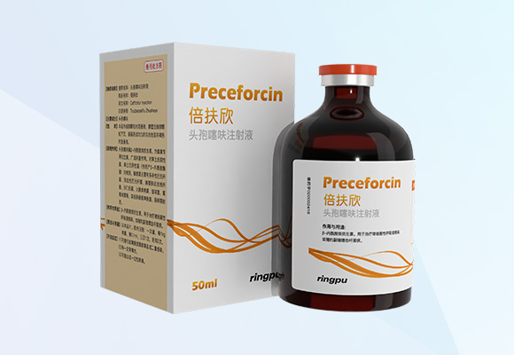 Öйú×ðÁú¼¯ÍÅ