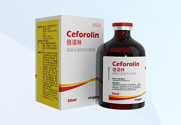 Öйú×ðÁú¼¯ÍÅ