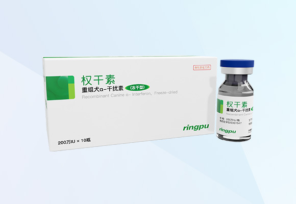 Öйú×ðÁú¼¯ÍÅ