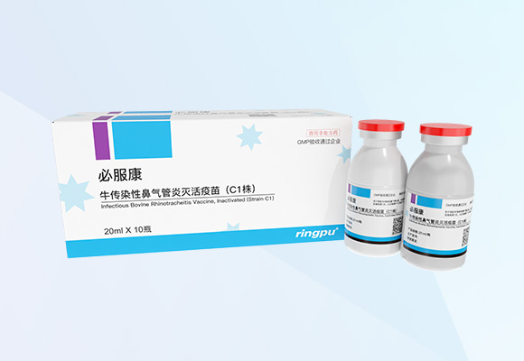 Öйú×ðÁú¼¯ÍÅ