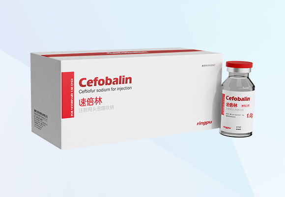 Öйú×ðÁú¼¯ÍÅ