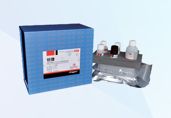 Öйú×ðÁú¼¯ÍÅ