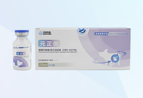 Öйú×ðÁú¼¯ÍÅ