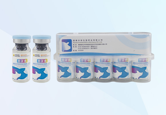 Öйú×ðÁú¼¯ÍÅ