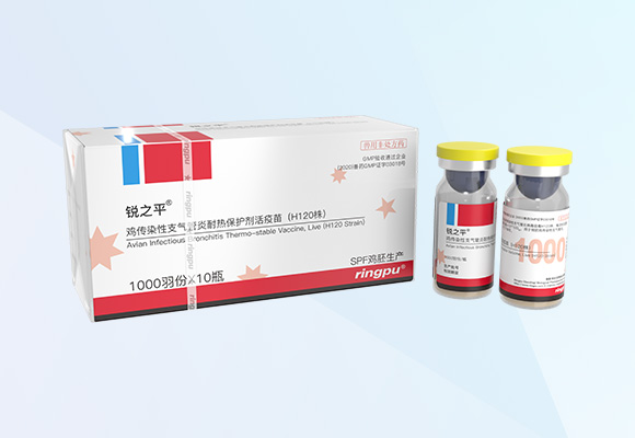 Öйú×ðÁú¼¯ÍÅ