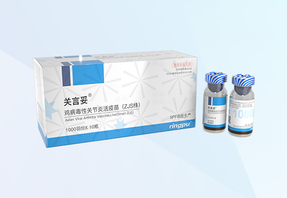 Öйú×ðÁú¼¯ÍÅ