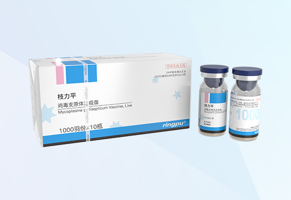 Öйú×ðÁú¼¯ÍÅ