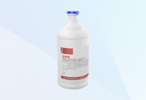 Öйú×ðÁú¼¯ÍÅ