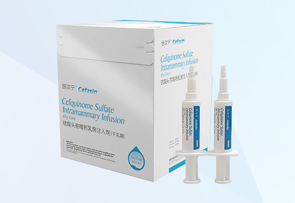 Öйú×ðÁú¼¯ÍÅ