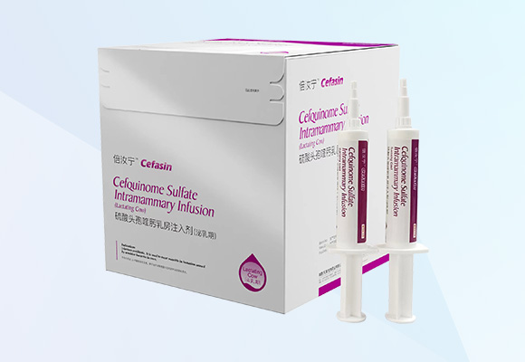 Öйú×ðÁú¼¯ÍÅ