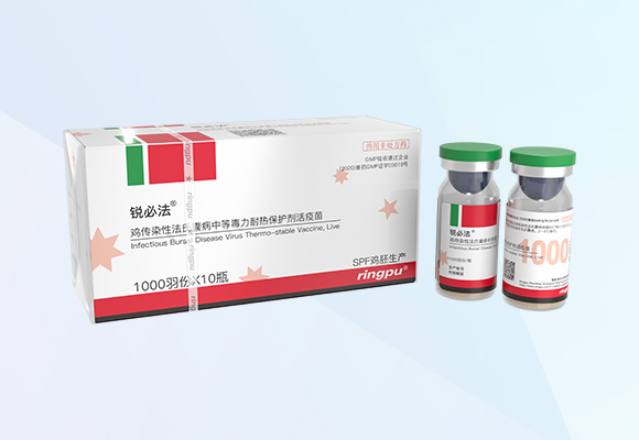 Öйú×ðÁú¼¯ÍÅ