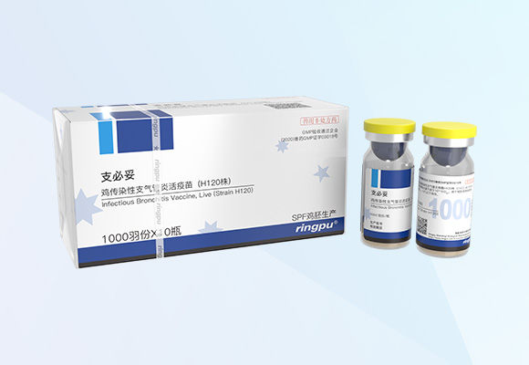 Öйú×ðÁú¼¯ÍÅ