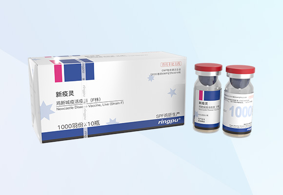 Öйú×ðÁú¼¯ÍÅ