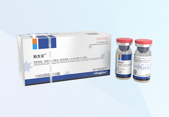 Öйú×ðÁú¼¯ÍÅ