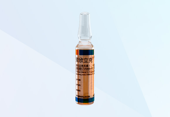 Öйú×ðÁú¼¯ÍÅ