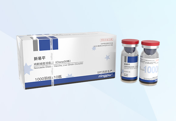 Öйú×ðÁú¼¯ÍÅ