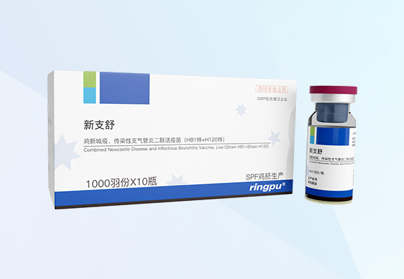 Öйú×ðÁú¼¯ÍÅ