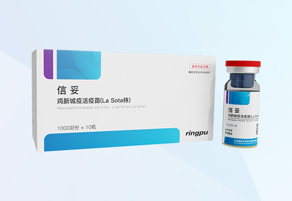 Öйú×ðÁú¼¯ÍÅ