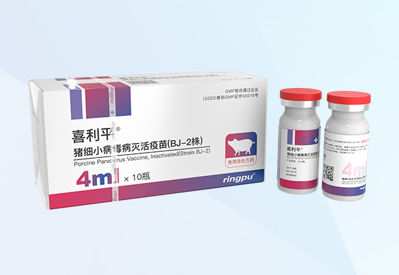 Öйú×ðÁú¼¯ÍÅ