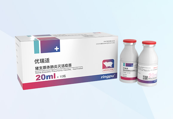 Öйú×ðÁú¼¯ÍÅ