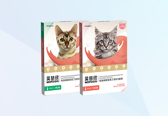 Öйú×ðÁú¼¯ÍÅ