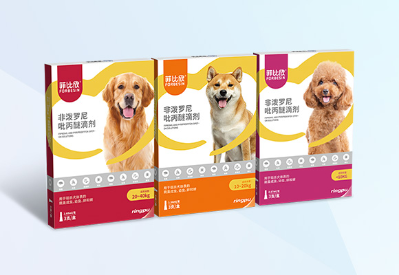 Öйú×ðÁú¼¯ÍÅ