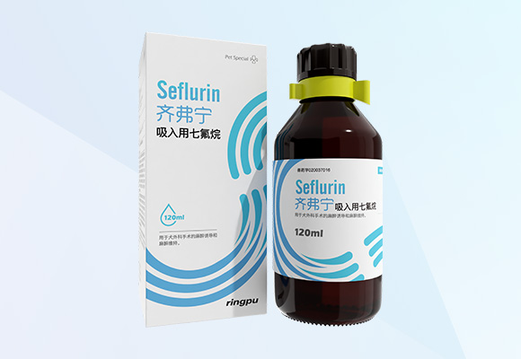 Öйú×ðÁú¼¯ÍÅ