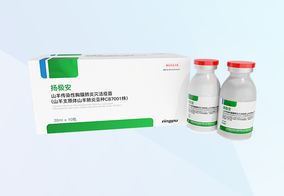 Öйú×ðÁú¼¯ÍÅ