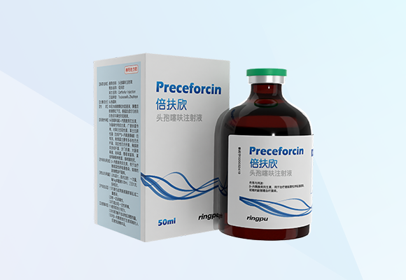 Öйú×ðÁú¼¯ÍÅ