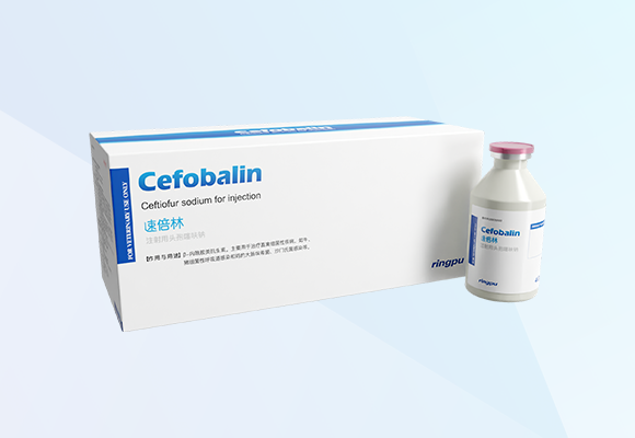 Öйú×ðÁú¼¯ÍÅ