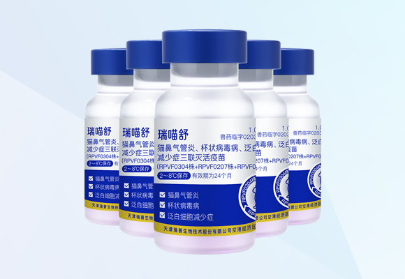 Öйú×ðÁú¼¯ÍÅ