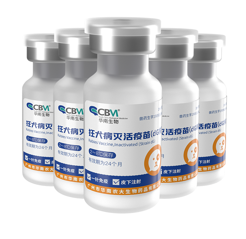 Öйú×ðÁú¼¯ÍÅ