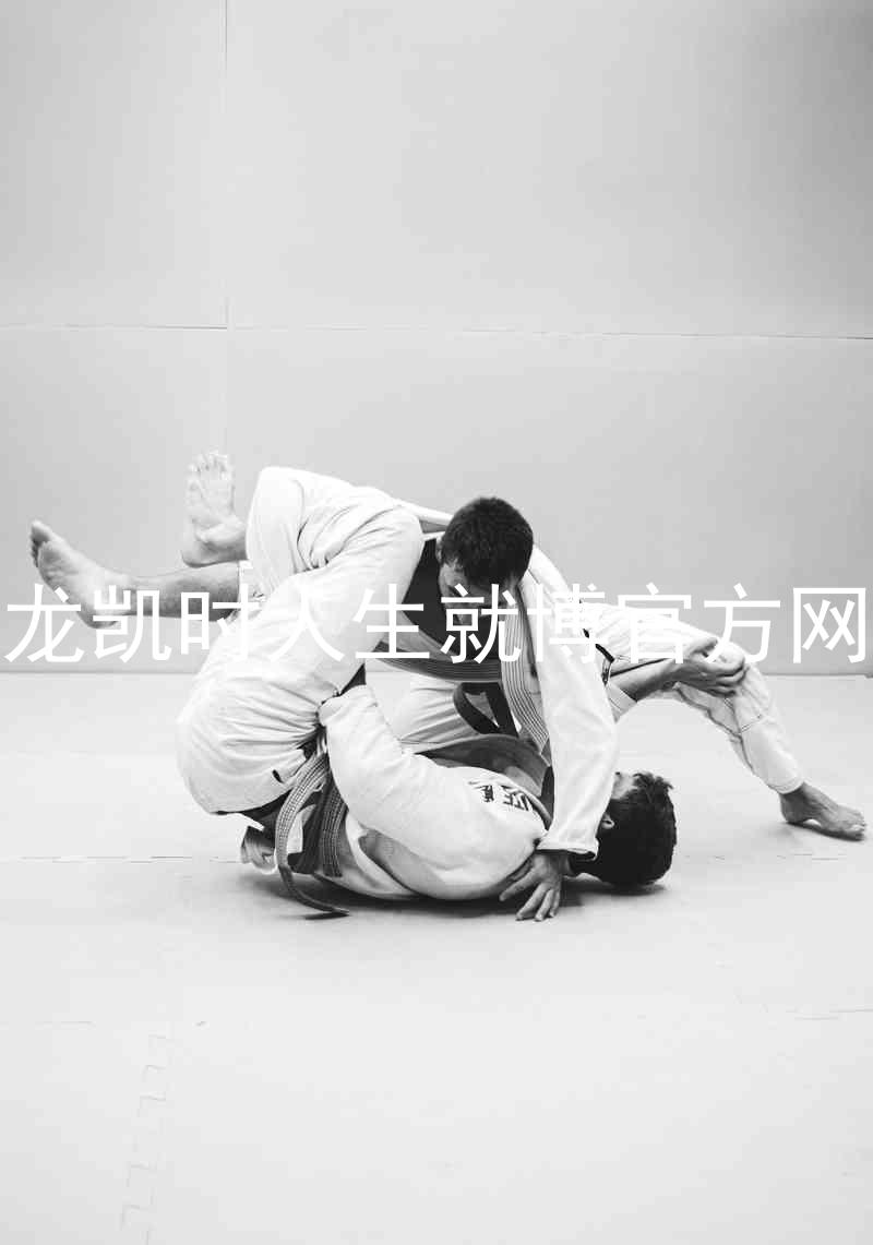 尊龙凯时人生就博官方网站